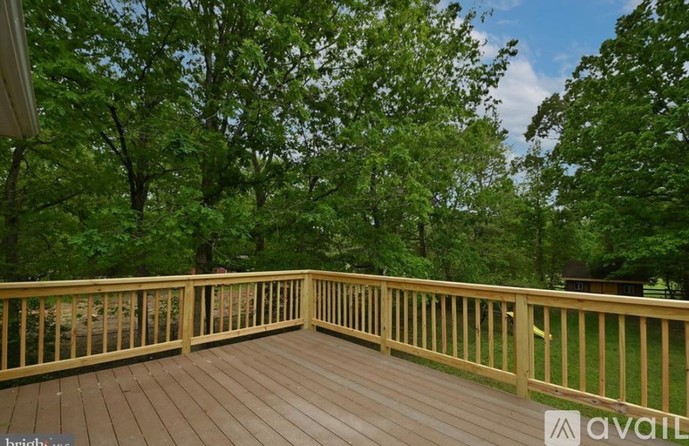 A wooden deck surrounded by trees.