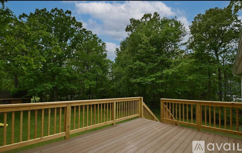 A wooden deck overlooks a lush green forest.