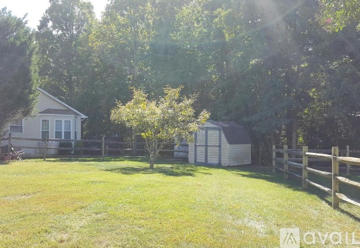 A tree in a yard with a house and a shed in the background.