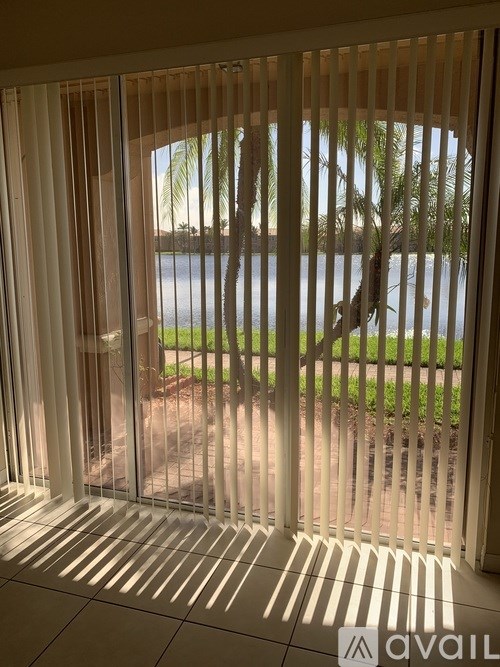 A view of a palm tree through a window with blinds.