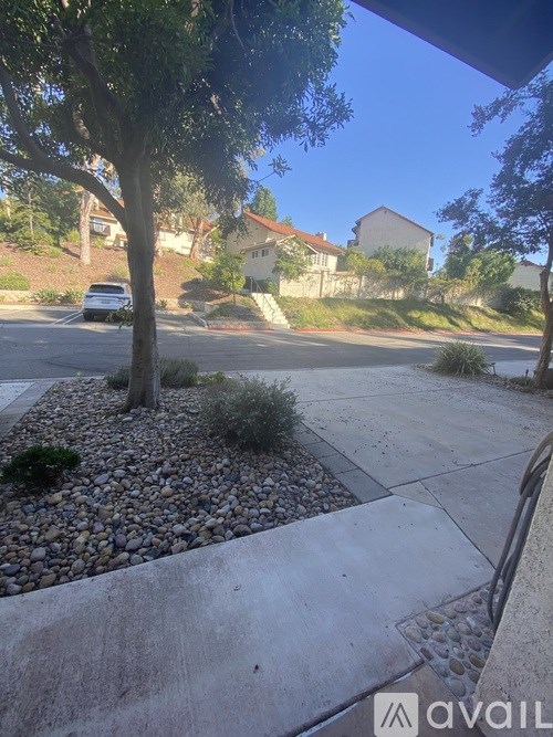 A tree in a landscaped area with a house in the background.