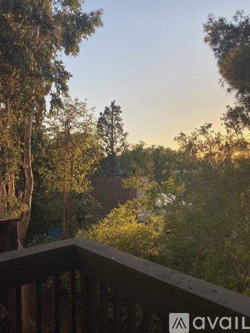A balcony with a railing overlooks a forest of trees.