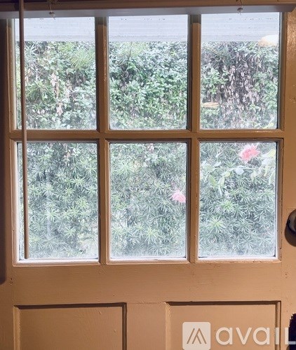 A window with a view of greenery outside.