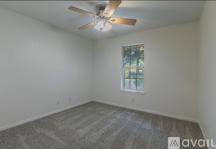 A room with a ceiling fan and a window.