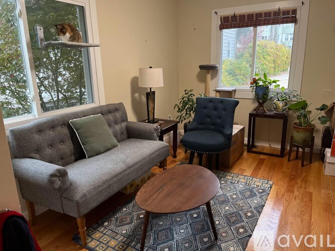 A living room with a grey couch, a blue chair, a wooden table, and a rug.