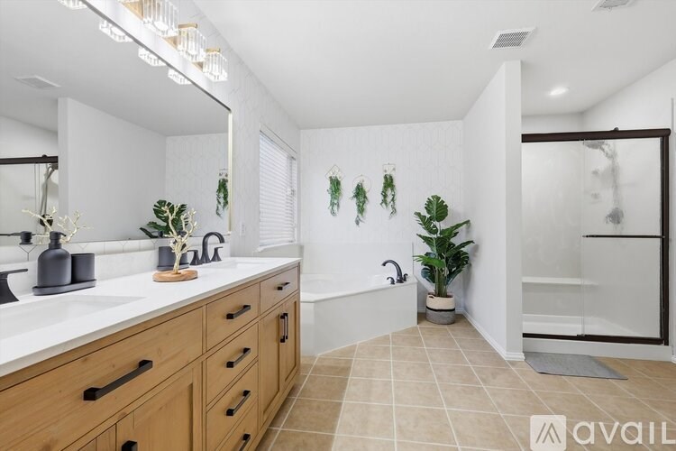 A bathroom with a large mirror, a bathtub, and a potted plant.