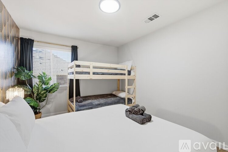 A white bedroom with a bunk bed and a potted plant.