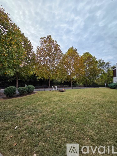 A grassy area with trees and a fence in the background.
