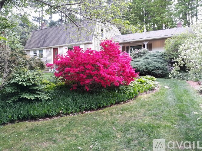A house with a red door is behind a bush with pink flowers.