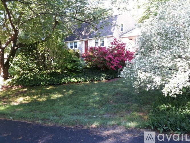 A tree with pink flowers is in the foreground of a residential area.