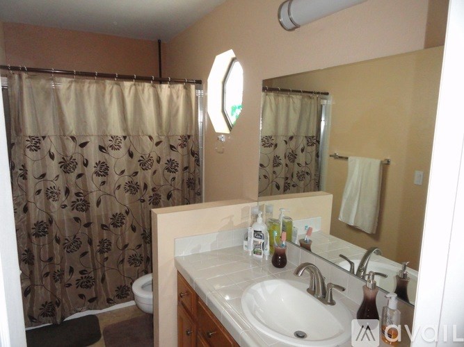 A bathroom with a sink, mirror, and shower curtain.