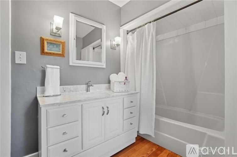 A bathroom with a white vanity and a shower curtain.