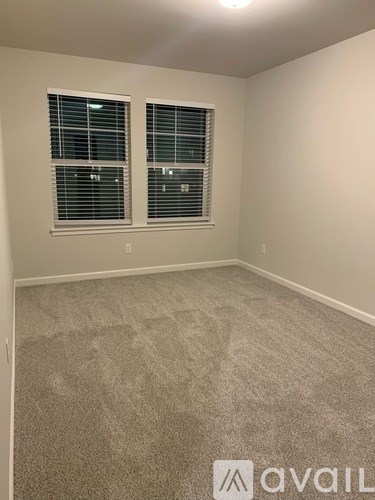 A room with carpeted floor and two windows.