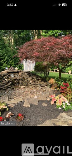 A garden with a red tree and a white structure in the background.