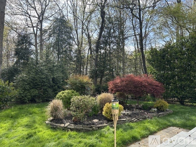 A garden with a variety of plants and trees.