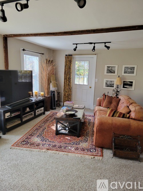 A living room with a rug, a couch, a coffee table, and a television.