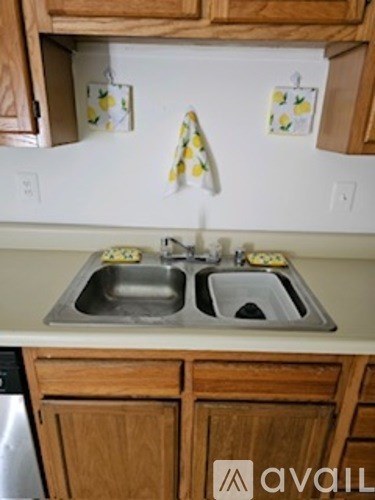 A kitchen with a sink and wooden cabinets.