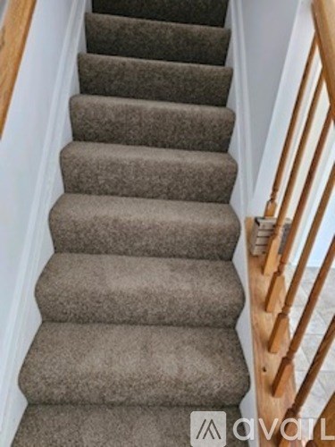 A carpeted staircase with wooden handrails.