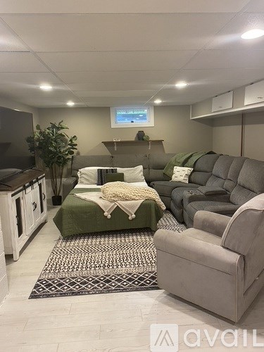 A living room with a grey couch and a green couch.