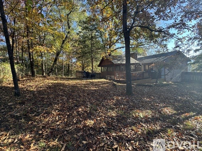 A house surrounded by trees with fallen leaves on the ground.