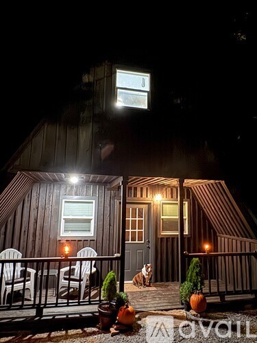 A dog is sitting on a porch with pumpkins and a lit window.