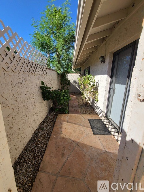 A patio with a wall and a tree in the background.