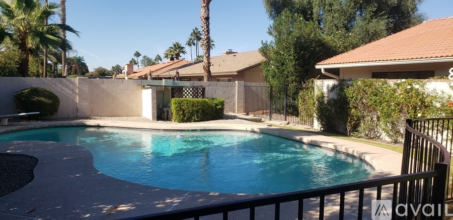 A pool surrounded by a black fence and palm trees.