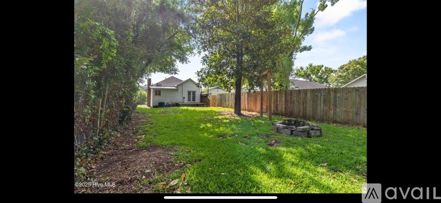 A backyard with a wooden fence and a small tree.