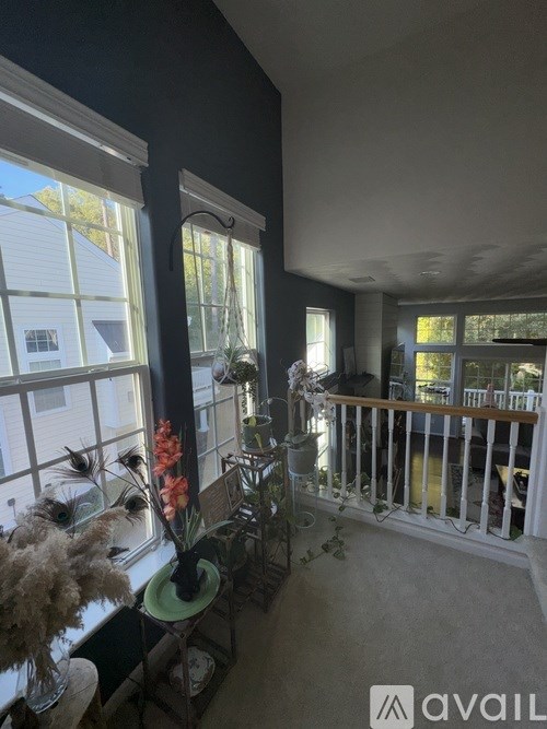 A sunny day at the balcony with flowers and plants.