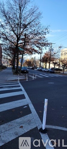 A street with a crosswalk and a pole in the middle.