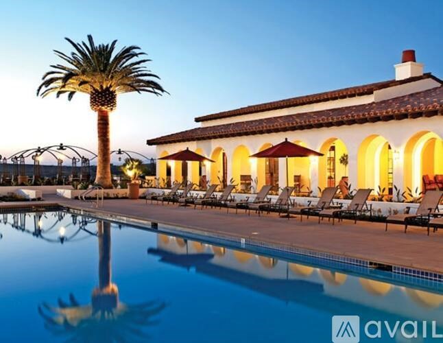 A poolside scene with a palm tree and a building with a pool in front.