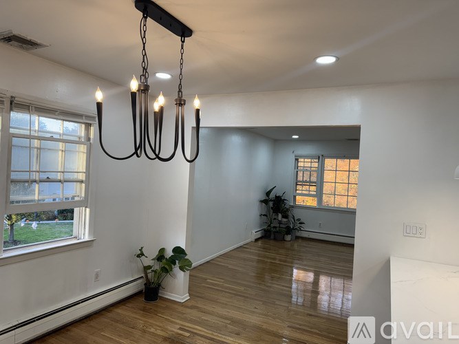 A room with a chandelier, a potted plant, and a window.