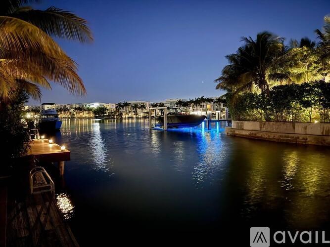 A calm waterway with boats and palm trees at night.