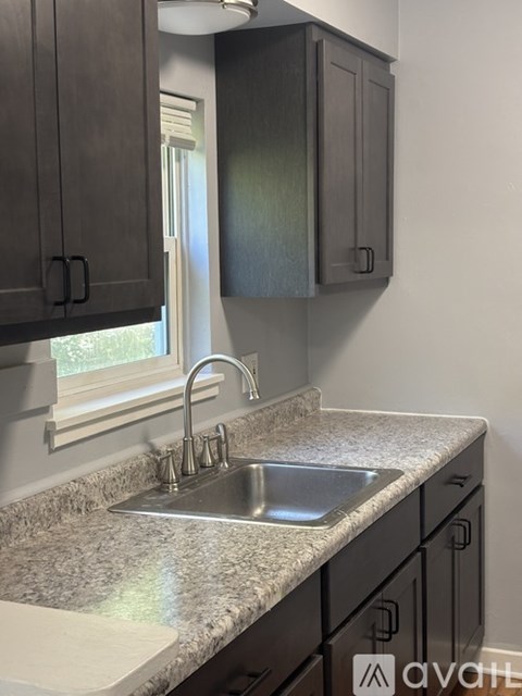 A kitchen with a sink and cabinets.
