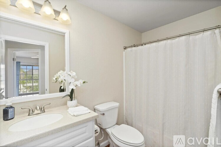 A bathroom with a toilet, sink, and shower.