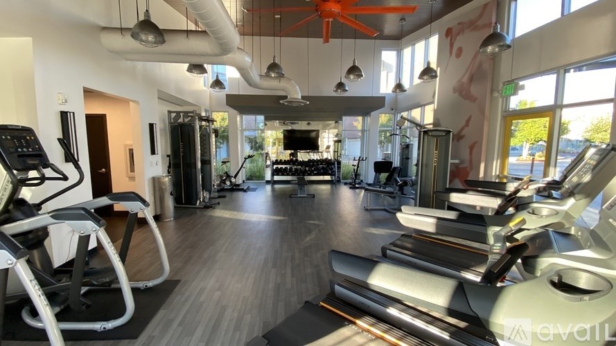 A gym with treadmills, elliptical machines, and other exercise equipment.
