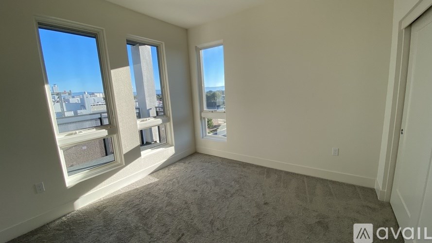 A room with two windows and a carpeted floor.