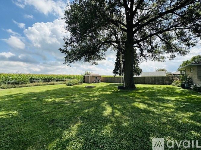 A large tree stands in the middle of a grassy yard.