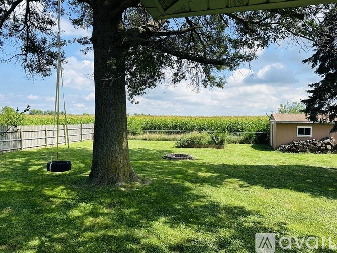 A tree with a swing hanging from it's branches.
