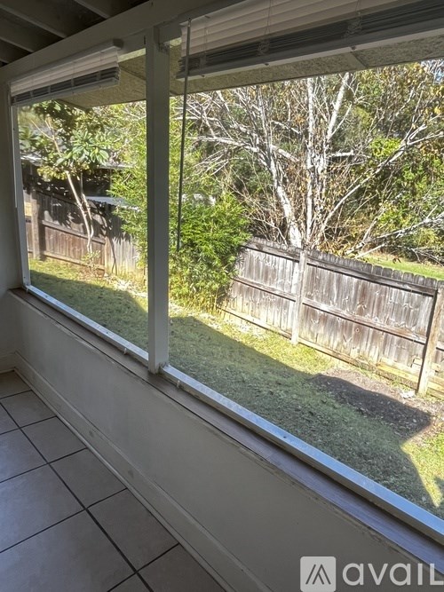 A window with a view of a backyard with a fence.