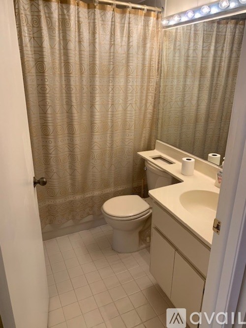 A bathroom with a toilet, sink, and shower curtain.