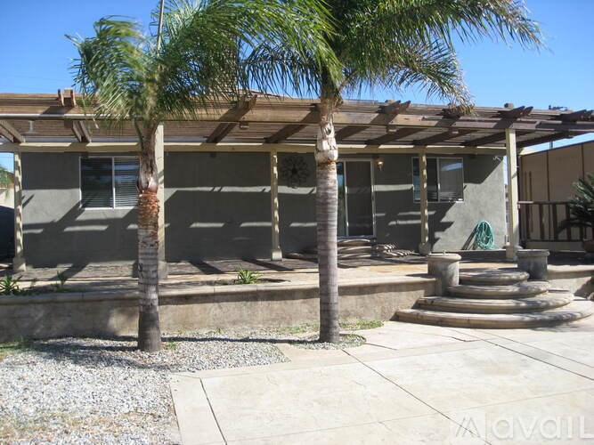 A house with a porch and a palm tree in front.