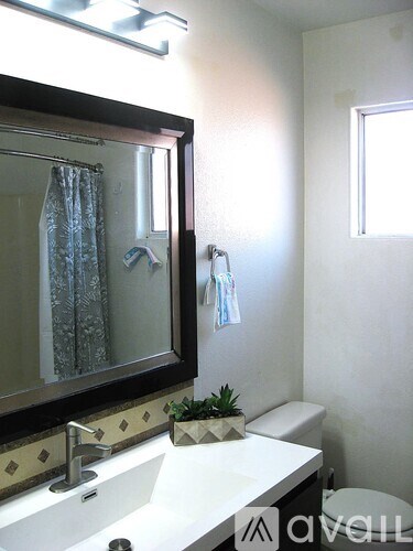 A bathroom with a sink, mirror, and a plant.
