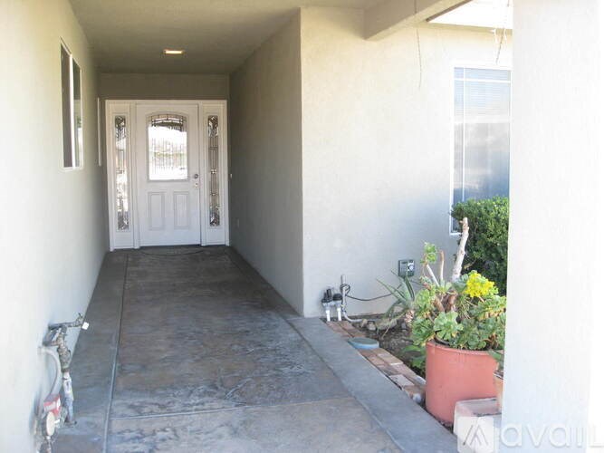 A hallway with a door and a plant on the side.