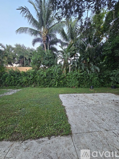 A garden with a concrete path and green grass.
