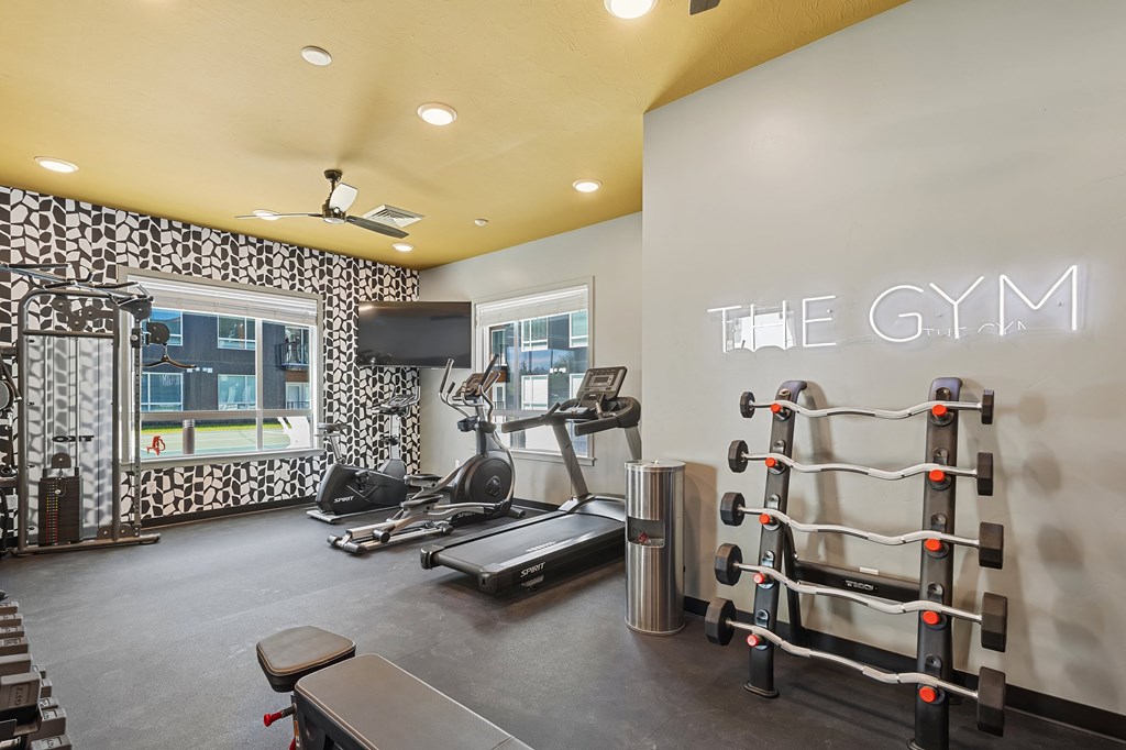 A gym with a variety of equipment including a treadmill, weights, and a television.