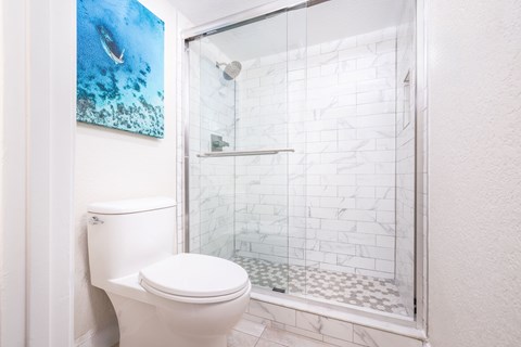 A white toilet in a bathroom with a glass shower door.