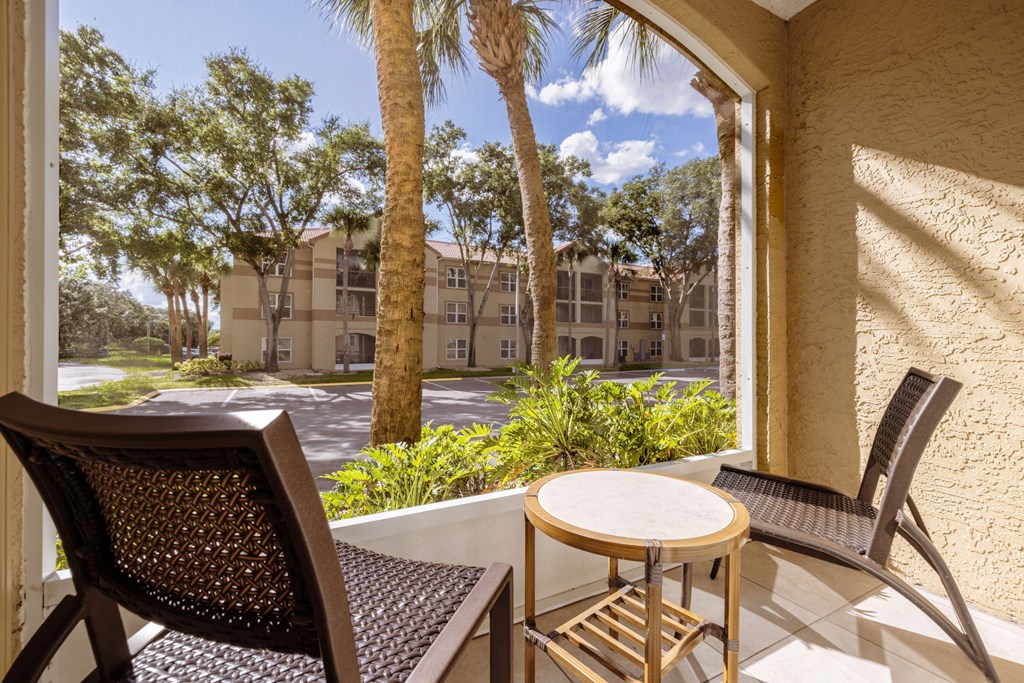 A patio with a table and chairs overlooks a courtyard with a palm tree.