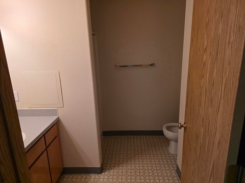 A bathroom with a toilet and a sink.