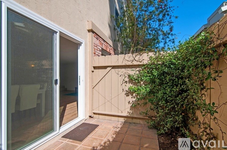 A patio area with a glass door and a potted plant.